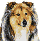 Rough collie (v3) counted cross stitch kit-1