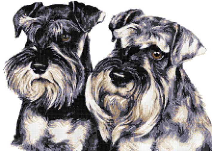 Schnauzer pair (v3) cross stitch kit
