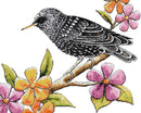 Starling bird (v2) cross stitch kit-1