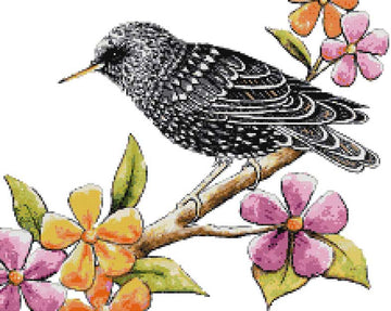Starling bird (v2) cross stitch kit