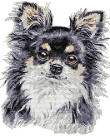 Tri long haired Chuhuahua (v2) cross stitch kit