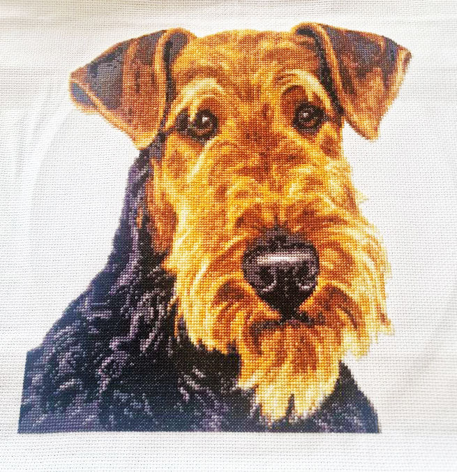 Airedale portrait cross stitch kit