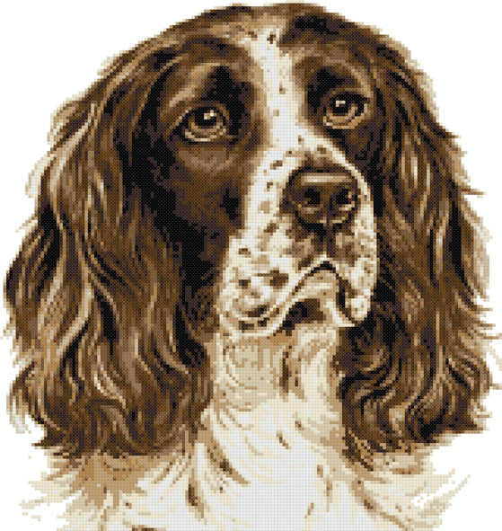 Brown Springer Spaniel counted cross stitch kit - 1
