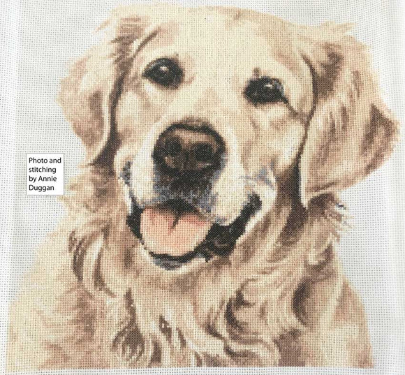 Golden retriever portrait cross stitch kit