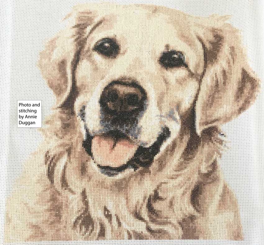 Kit de point de croix portrait de Golden Retriever