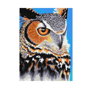 Kit de point de croix moderne « Œil de grand-duc d'Amérique » (v2)