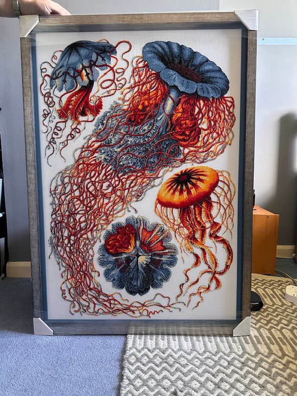 Quallen Haeckel Fortgeschrittenen-Kreuzstichset
