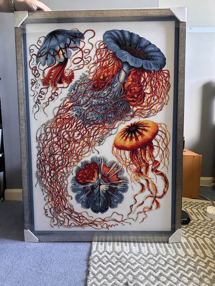 Kit de point de croix avancé Méduse Haeckel