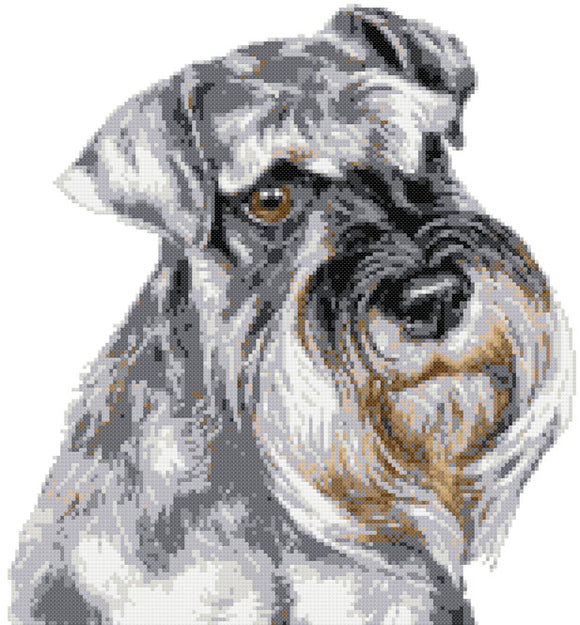 Schnauzer portrait (v2) cross stitch kit