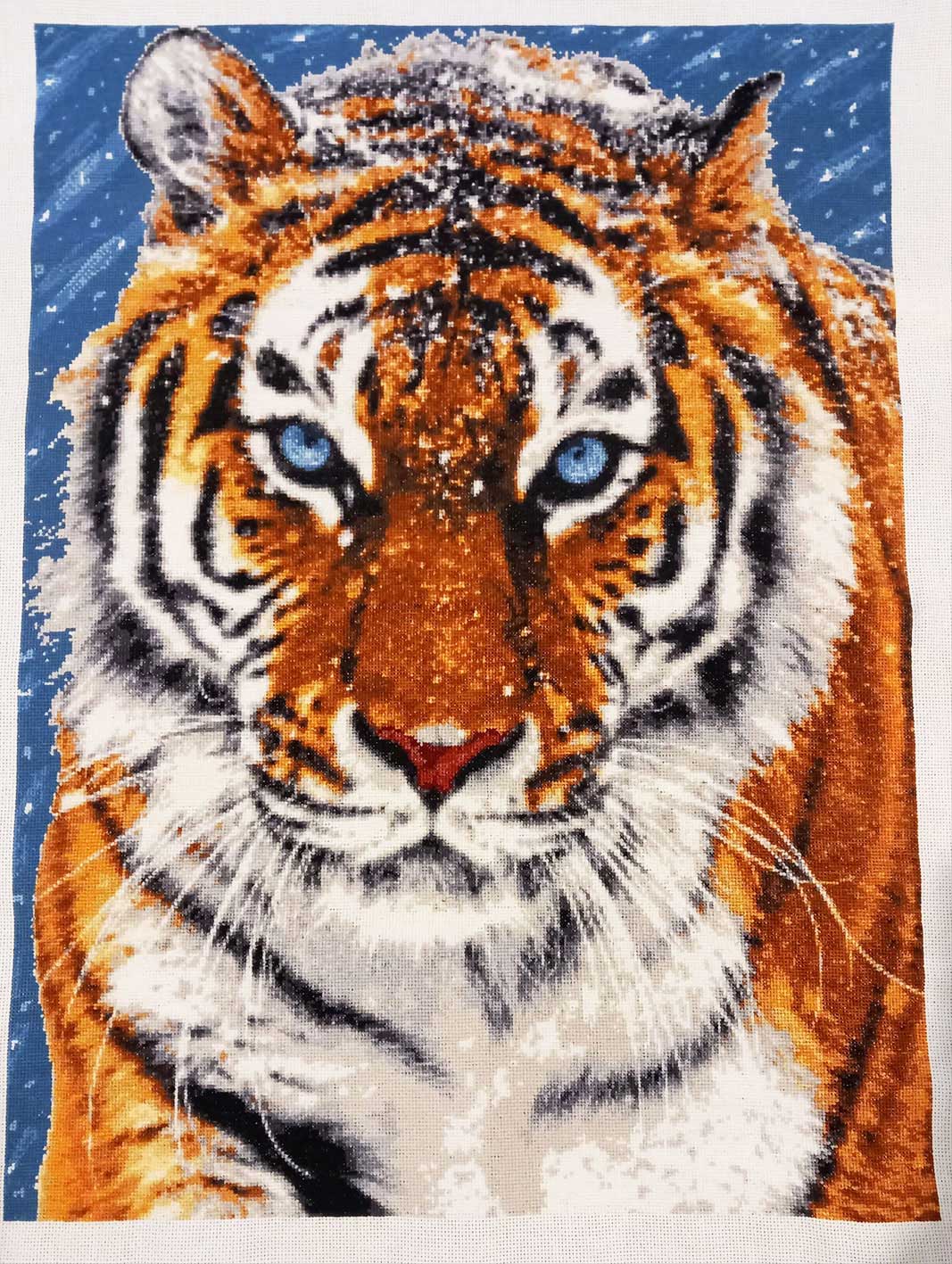 Tiger in snow (v3) counted cross stitch kit