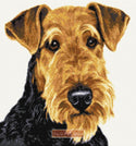 Airedale face cross stitch kit - 1