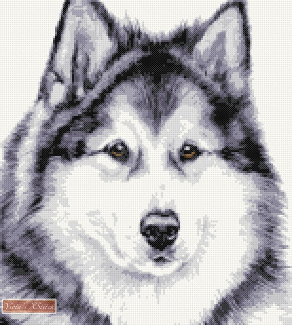 Alaskan Malamute cross stitch kit - 1