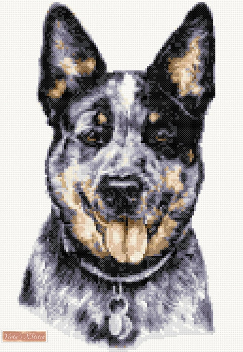 Australian cattle dog counted cross stitch kit