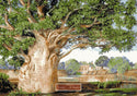 Baobab tree counted cross stitch kit - 1