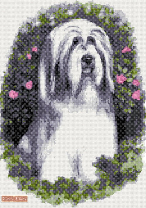 Bearded Collie No1 counted cross stitch kit - 1