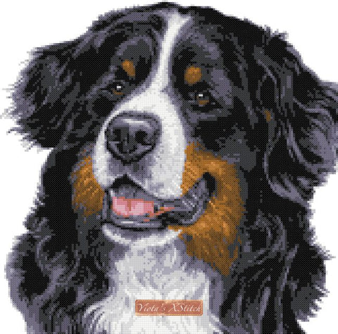 Bernese mountain dog cross stitch kit