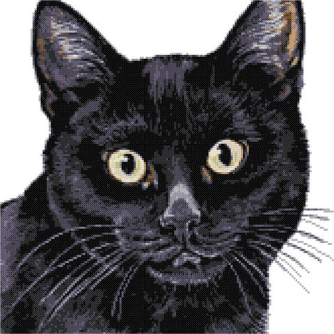 Black cat cross stitch kit