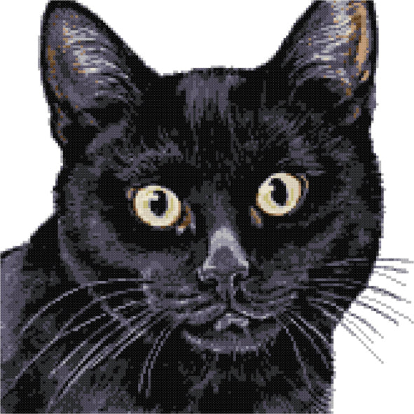 Black cat cross stitch kit - 1