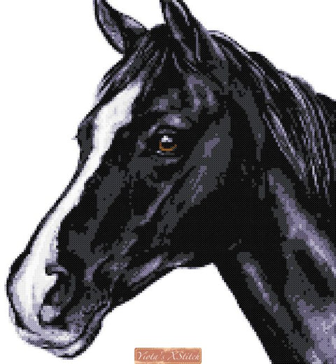 Black horse cross stitch kit