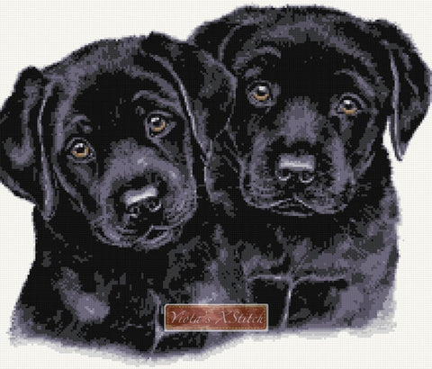 Black labrador puppies counted cross stitch kit