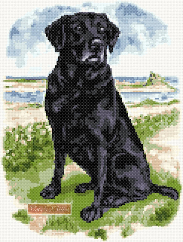 Black labrador standing (v2) counted cross stitch kit - 1