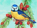 Blue tit bird counted cross stitch kit
