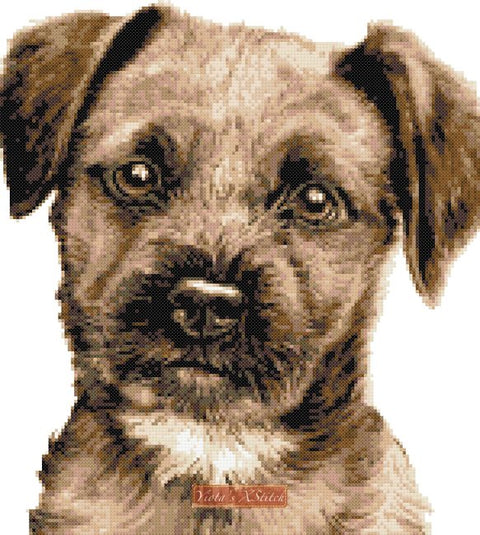 Border terrier puppy cross stitch kit
