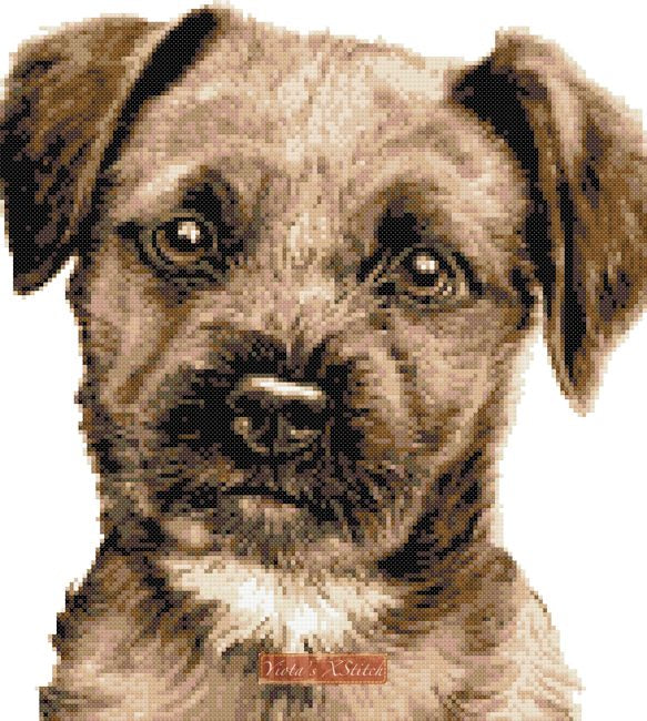 Border terrier puppy cross stitch kit - 1
