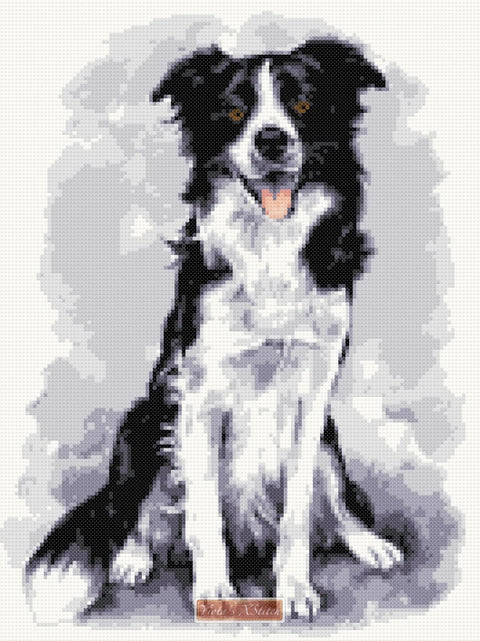 Border Collie No8 counted cross stitch kit