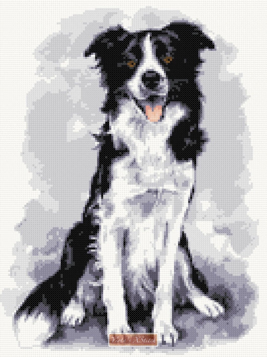 Border Collie No8 counted cross stitch kit - 1