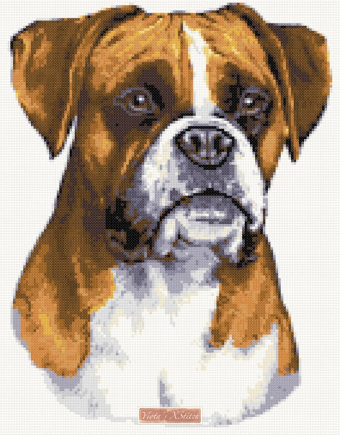 Boxer counted cross stitch kit