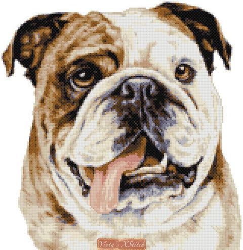 Bulldog cross stitch kit