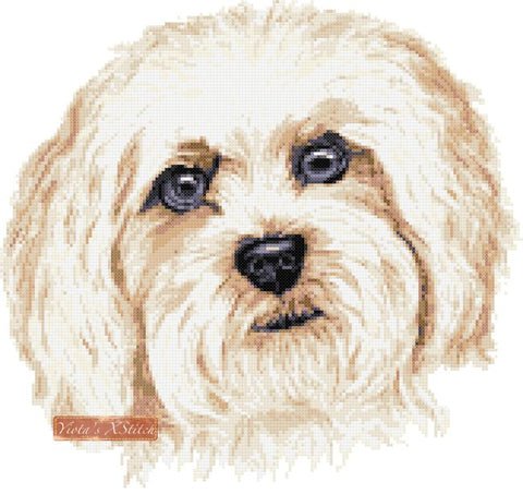 Cavachon cross stitch kit