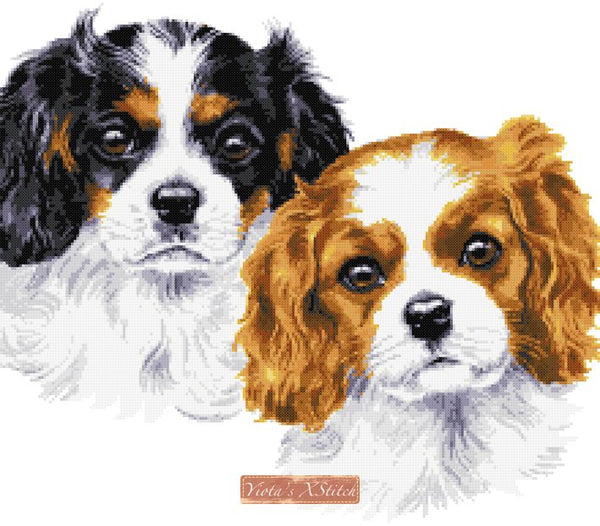 Cavalier king charles puppies cross stitch kit - 1