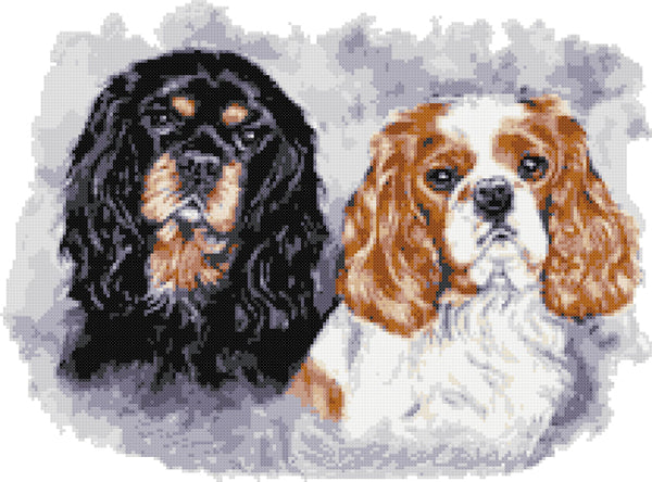 Cavalier king charles pair (v2) counted cross stitch kit - 1