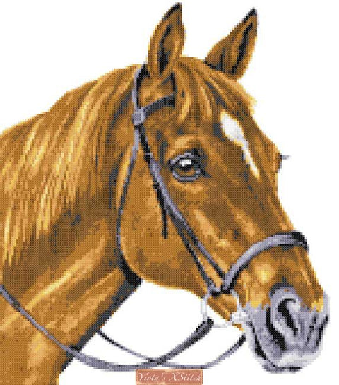 Chestnut horse cross stitch kit