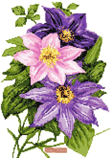 Clematis cross stitch kit (v2) - 1