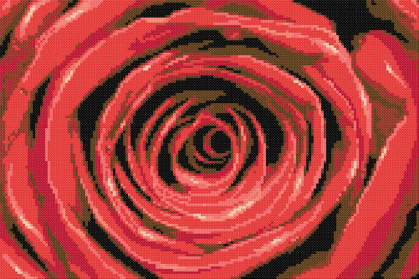 Close up of a red rose (v2) modern counted cross stitch kit - 1