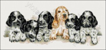 Cocker spaniel puppies cross stitch kit - 1