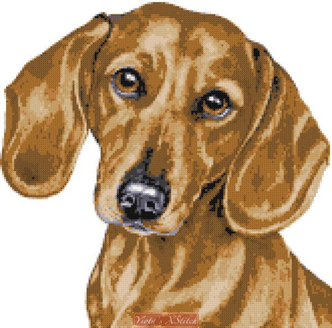 Dachshund cross stitch kit