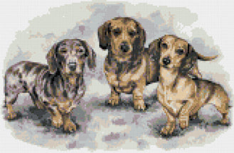 Dachshund puppies counted cross stitch kit - 1