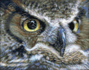 Dark owl counted cross stitch kit