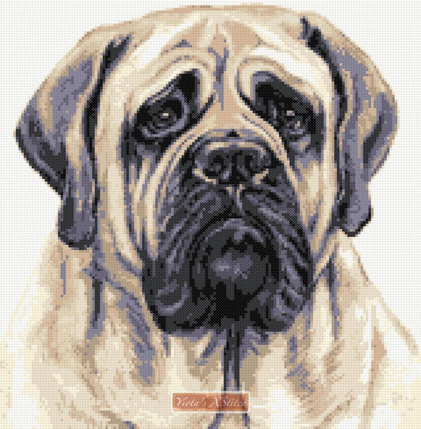English Bullmastiff counted cross stitch kit - 1