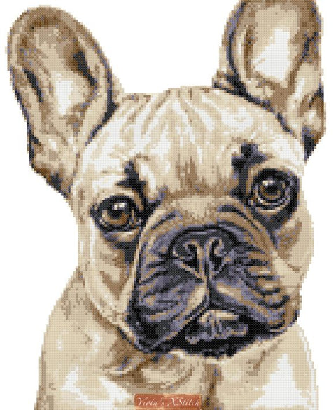 Fawn French bulldog cross stitch kit