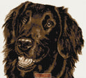 Flat coated chocolate brown retriever counted cross stitch kit - 1