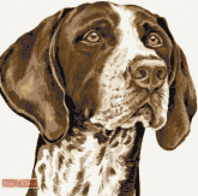 German shorthaired pointer cross stitch kit | Yiotas XStitch