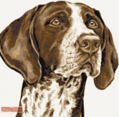 German shorthaired pinter counted cross stitch kit