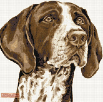 German shorthaired pinter counted cross stitch kit
