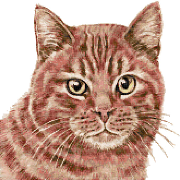 Ginger cat cross stitch kit - 1