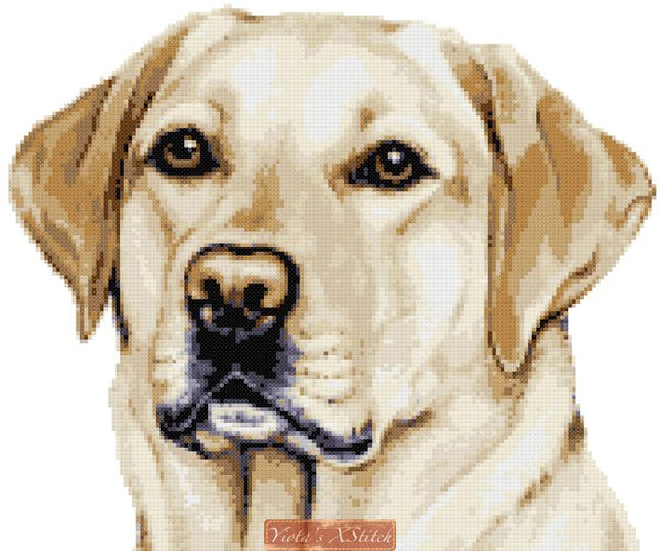 Golden labrador No7 cross stitch kit - 1